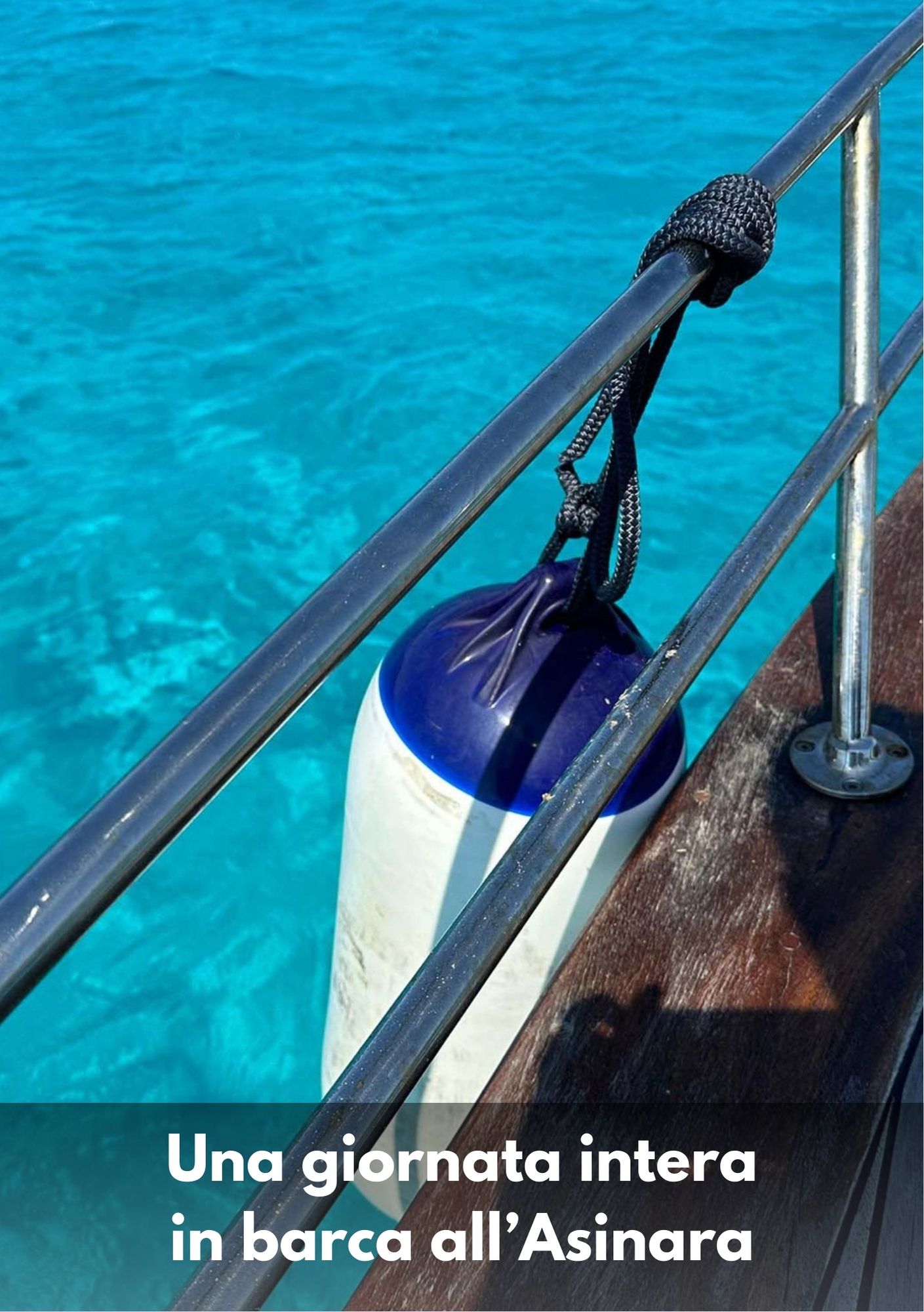 Gita di una giornata intera in barca all'Asinara - Asinarainbarca, un servizio di Menti Vaganti